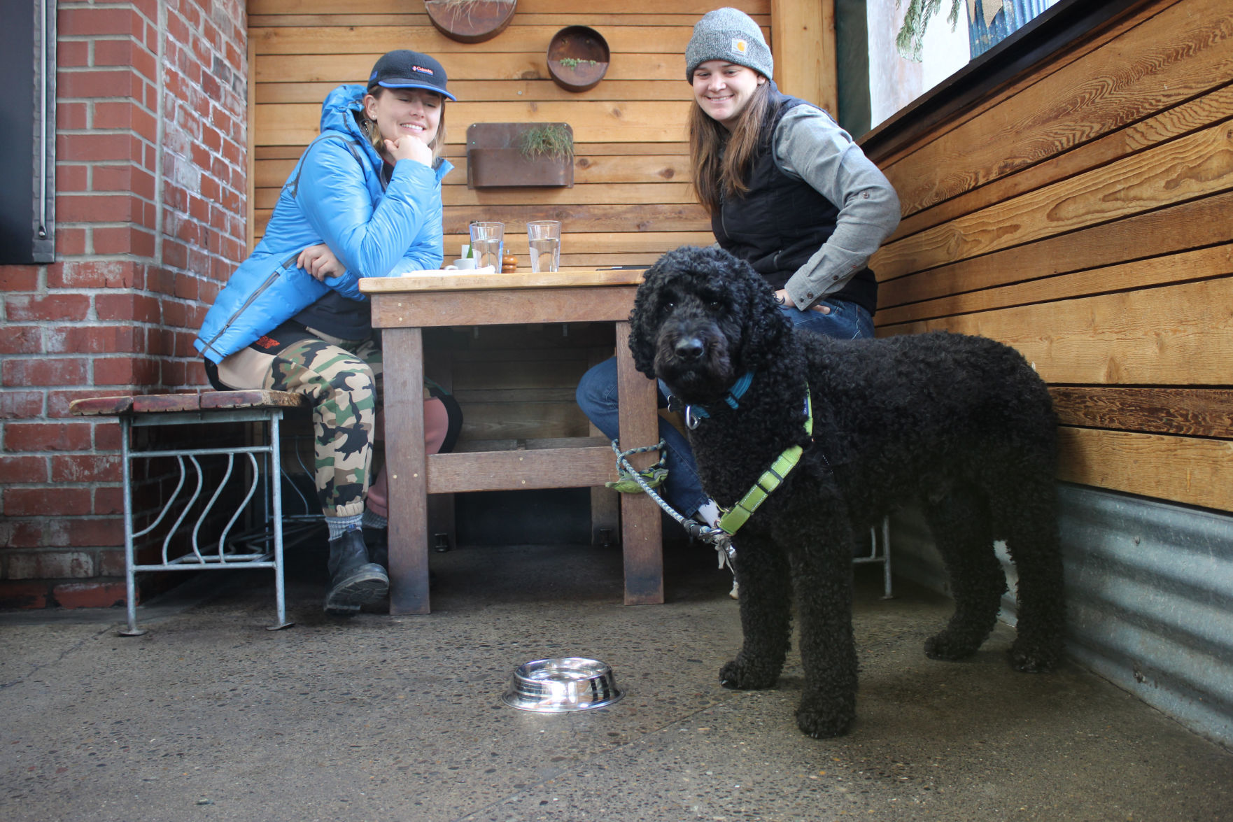 Breakfast at the Tin Shed